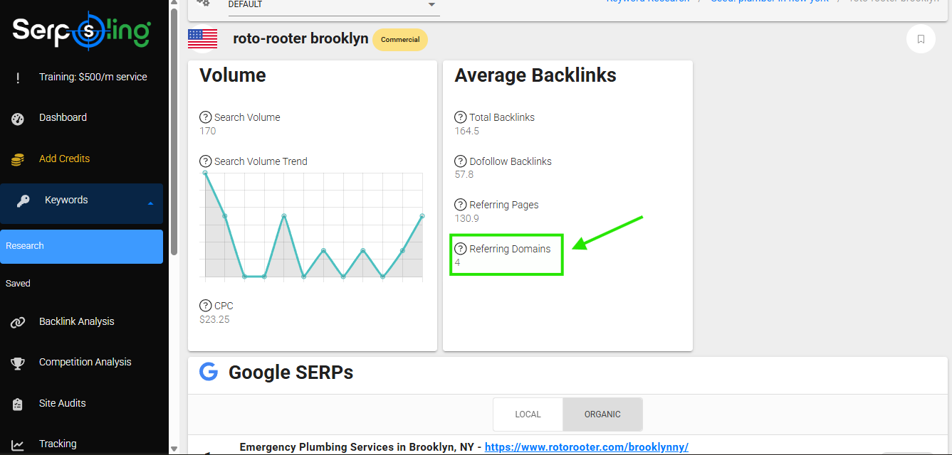 SerpSling AI keyword detail view for roto-rooter brooklyn with volume and average backlinks